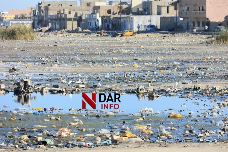 Le bassin de rétention : une catastrophe écologique au cœur de Pikine Le bassin de rétention : une catastrophe écologique au cœur de Pikine