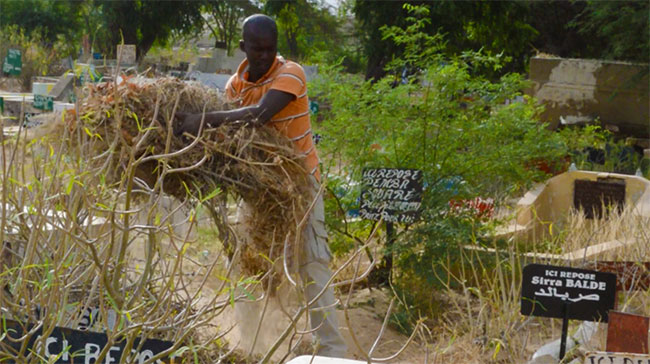 ACTION CITOYENNE : les BAYE FALL au chevet des cimetières de Saint-Louis (vidéo) ACTION CITOYENNE : les BAYE FALL au chevet des cimetières de Saint-Louis (vidéo)
