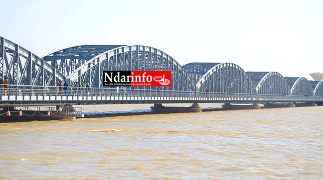 Radio et télévision : record d’audience pour Saint-Louis (étude) Radio et télévision : record d’audience pour Saint-Louis (étude)