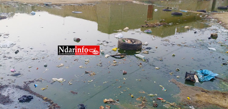 Le mercredi 02 décembre à Tableau WALO Le mercredi 02 décembre à Tableau WALO