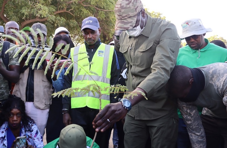 Lancement de la grande muraille verte de Saint-Louis : 500.000 arbres seront plantés sur 1200 hectares Lancement de la grande muraille verte de Saint-Louis : 500.000 arbres seront plantés sur 1200 hectares