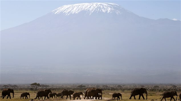 Le Kilimandjaro surplombe l'Afrique avec ses 5895 m.  Photo :  Goran Tomasevic / Reuters
