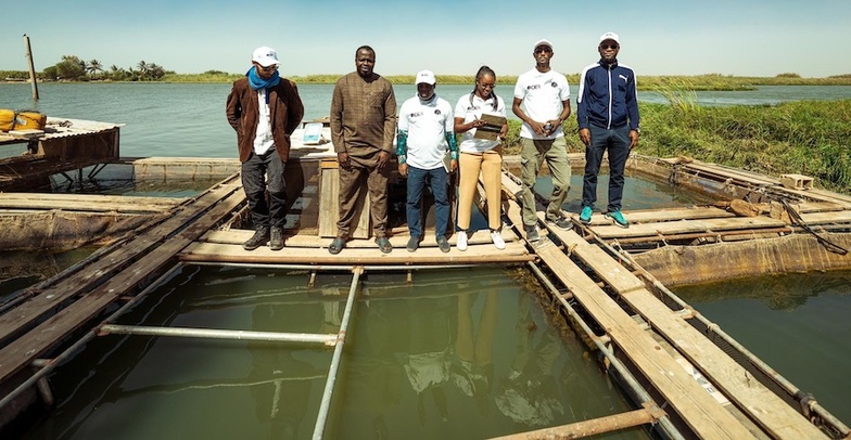 Bango : à la découverte d'une ferme piscicole familiale en pleine expansion Bango : à la découverte d'une ferme piscicole familiale en pleine expansion