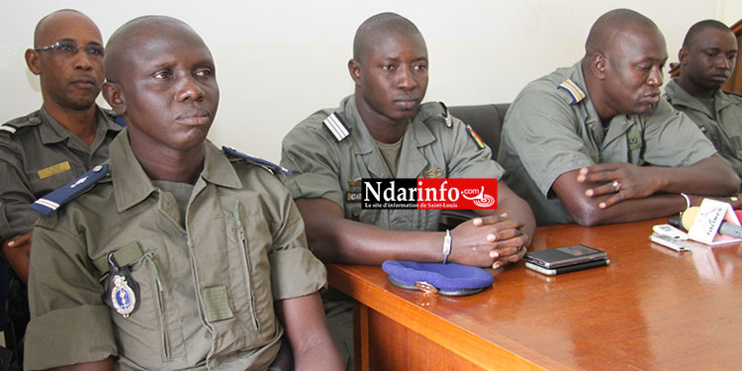 Saint-Louis : 67 kilos de drogue et 327 cornets saisis. 13 personnes interpellées dont une femme. Saint-Louis : 67 kilos de drogue et 327 cornets saisis. 13 personnes interpellées dont une femme.