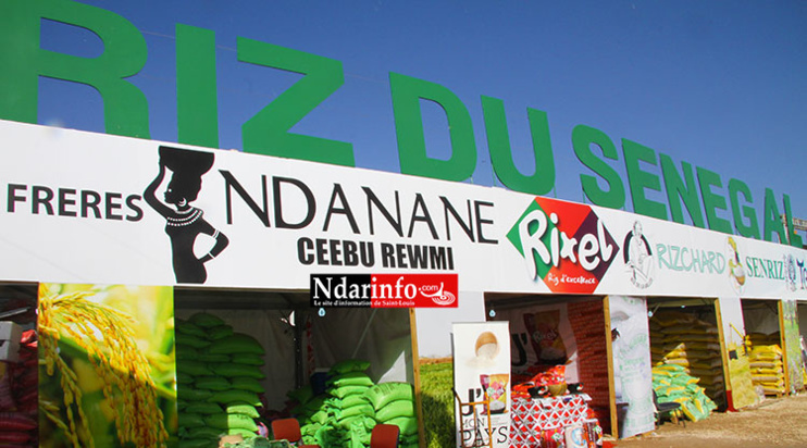 Le stand "Riz du Sénégal", au coeur du Cices: Crédit Photo: Ndarinfo.com