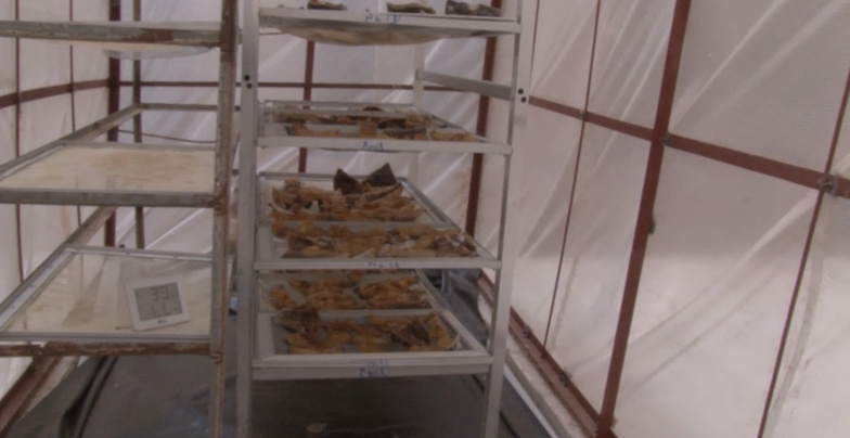 Séchage du poisson : une technique innovante présentée à l’UGB Séchage du poisson : une technique innovante présentée à l’UGB