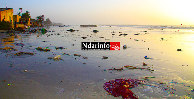 Berges de Pilote Barre: Crédit Photo: Ndarinfo.com Berges de Pilote Barre: Crédit Photo: Ndarinfo.com