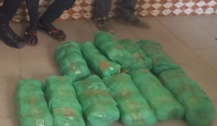 Touba : Un menuisier arrêté avec 12 kg de chanvre indien Touba : Un menuisier arrêté avec 12 kg de chanvre indien