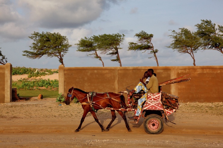 Portrait of a layered city: Saint-Louis of Senegal ( Washingtonpost)