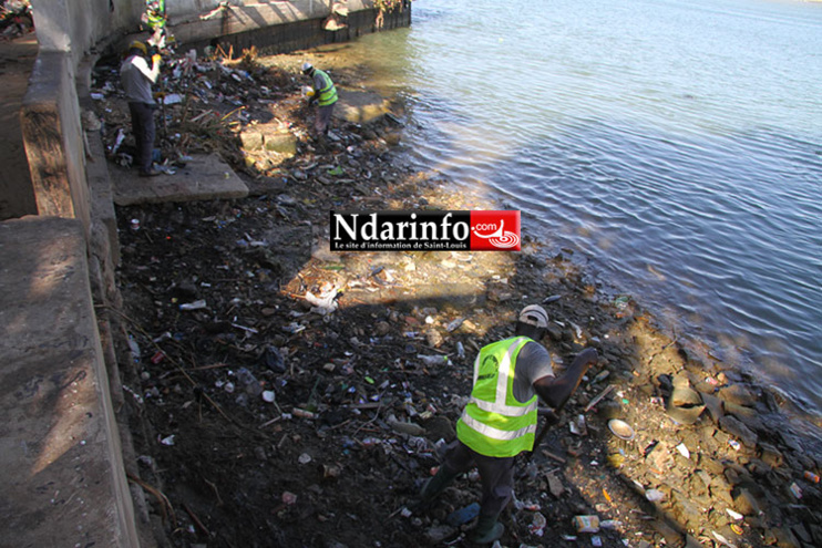 CADRE DE VIE : nettoyée, cette partie de l’ile brille (photos) CADRE DE VIE : nettoyée, cette partie de l’ile brille (photos)