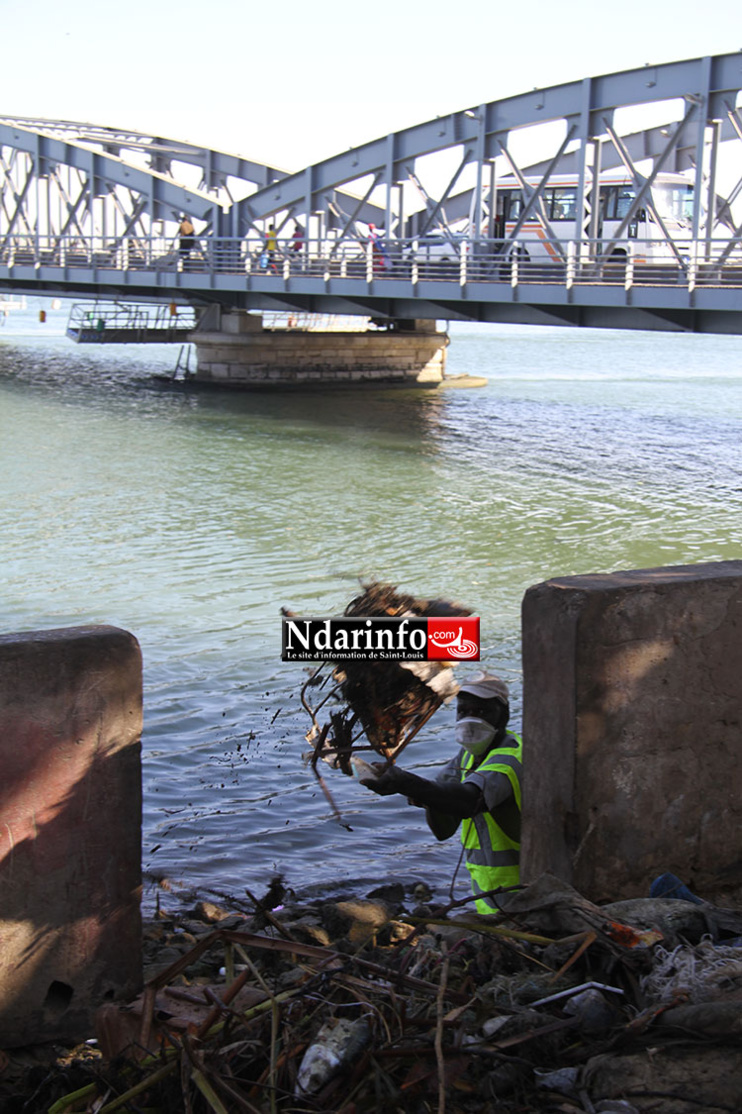 CADRE DE VIE : nettoyée, cette partie de l’ile brille (photos) CADRE DE VIE : nettoyée, cette partie de l’ile brille (photos)