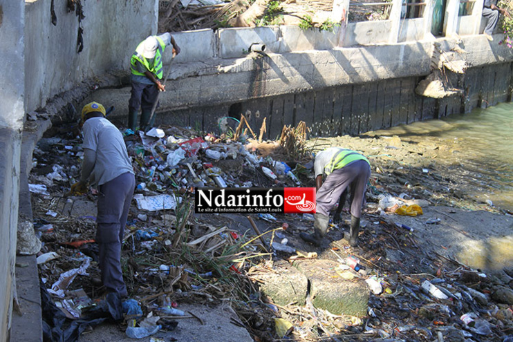 CADRE DE VIE : nettoyée, cette partie de l’ile brille (photos) CADRE DE VIE : nettoyée, cette partie de l’ile brille (photos)