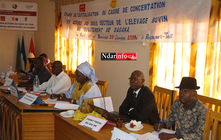 DAGANA : plaidoyer pour la levée des contraintes de l’élevage bovin. DAGANA : plaidoyer pour la levée des contraintes de l’élevage bovin.