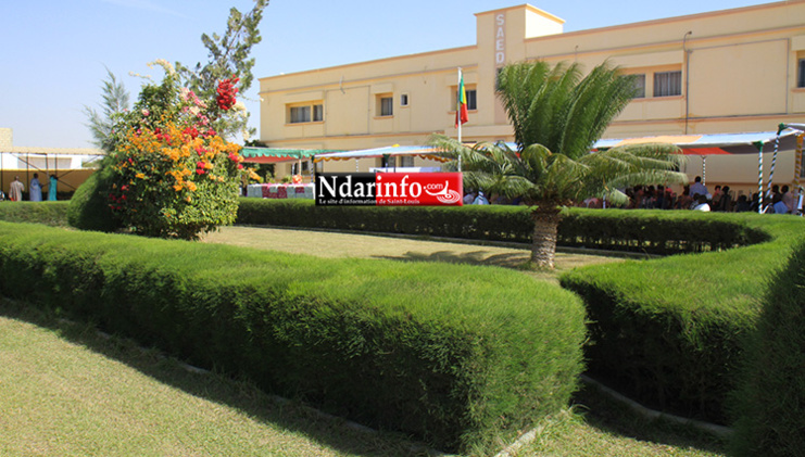 Campagne de Saison Sèche Chaude 2016 : la SAED galvanise les producteurs. Campagne de Saison Sèche Chaude 2016 : la SAED galvanise les producteurs.