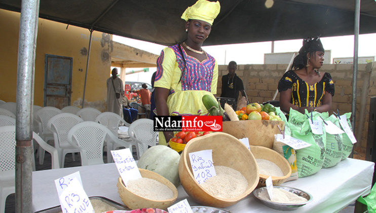 DIRECT – PONT GENDARME : Inauguration d’une infrastructure de stockage et d’une unité de transformation pour les femmes. DIRECT – PONT GENDARME : Inauguration d’une infrastructure de stockage et d’une unité de transformation pour les femmes.