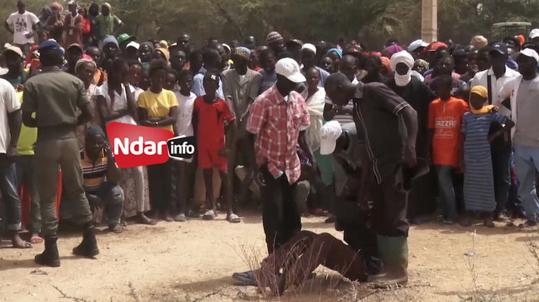 283 morts en 2024 sur 2942 accidents : Saint-Louis en première ligne face à la crise routière 283 morts en 2024 sur 2942 accidents : Saint-Louis en première ligne face à la crise routière