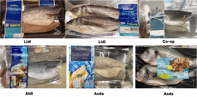 Poisson sénégalais, assiette étrangère : une enquête révèle un commerce inéquitable Poisson sénégalais, assiette étrangère : une enquête révèle un commerce inéquitable