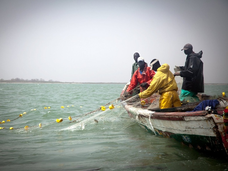 Pêche artisanale : accord renouvelé entre le Sénégal et la Guinée-Bissau