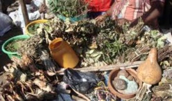 Médecine traditionnelle : Vers le vote d'une loi pour réglementer le secteur Médecine traditionnelle : Vers le vote d'une loi pour réglementer le secteur