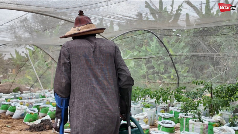 Portrait - Baye Oumar Cissé : L’homme qui a transformé son handicap en force Portrait - Baye Oumar Cissé : L’homme qui a transformé son handicap en force