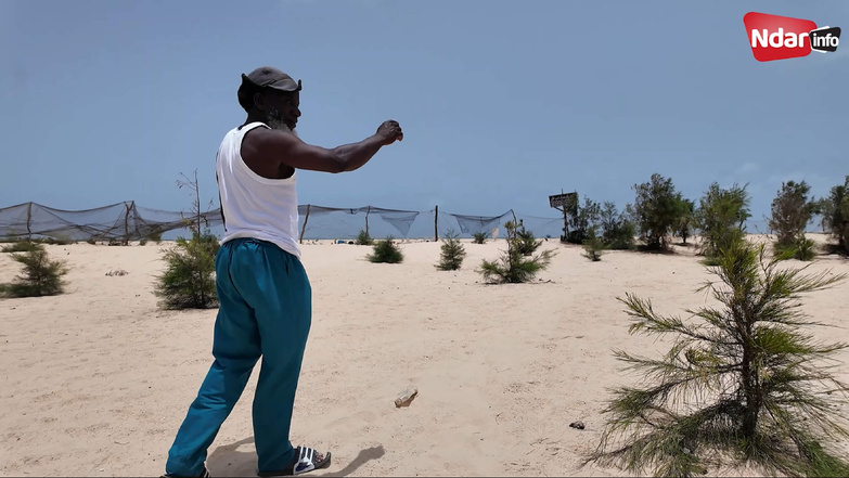 Un maître coranique face à l’érosion : à Goxu Mbacc, le combat vert d’Ibrahima Fall