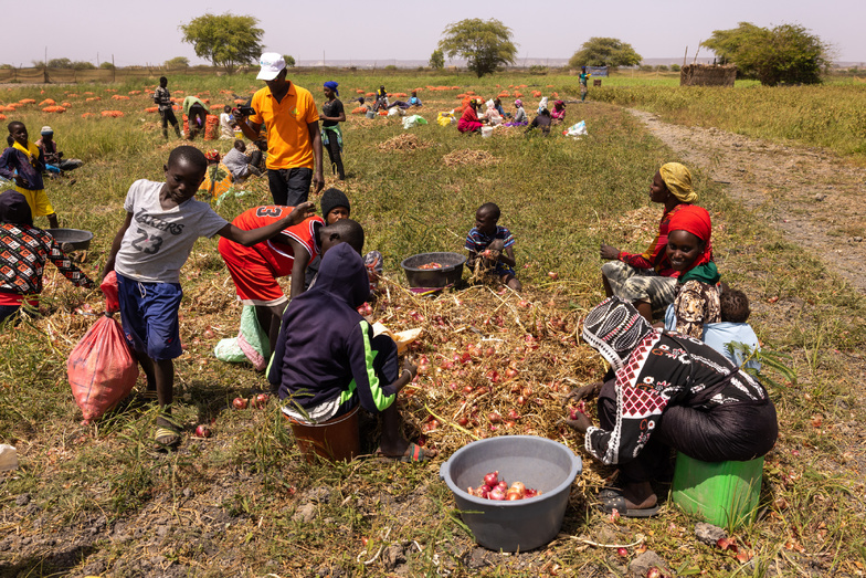 Horticulture : 300 000 tonnes de stockage en vue pour booster le secteur Horticulture : 300 000 tonnes de stockage en vue pour booster le secteur