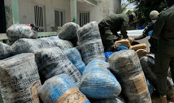 Sédhiou : arrestation d’un trafiquant avec 20 kg de chanvre indien