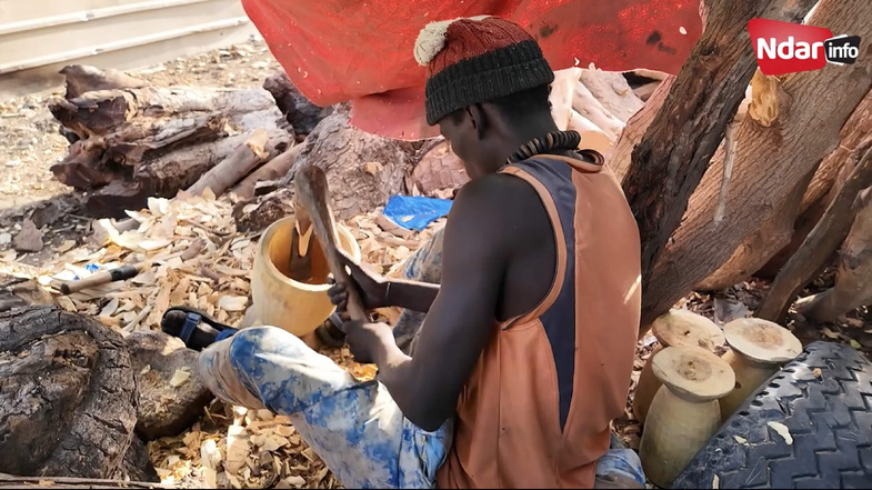 Bois rare, revenus en baisse : à Saint-Louis, le cri d’alarme des « Laobés Yatt » Bois rare, revenus en baisse : à Saint-Louis, le cri d’alarme des « Laobés Yatt »