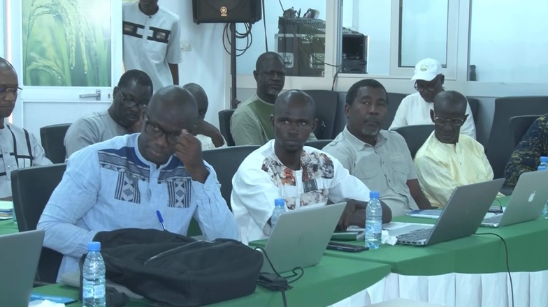 Saint-Louis : une feuille de route pour dynamiser les filières riz, oignon et tomate Saint-Louis : une feuille de route pour dynamiser les filières riz, oignon et tomate