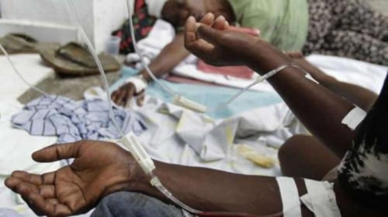 Sénégal : régression de la vitesse de propagation de la fièvre de la vallée du Rift