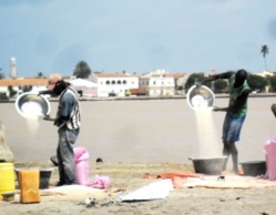 Sénégal : L’activité économique progresse de 5,6% au mois de en février 2016 Sénégal : L’activité économique progresse de 5,6% au mois de en février 2016