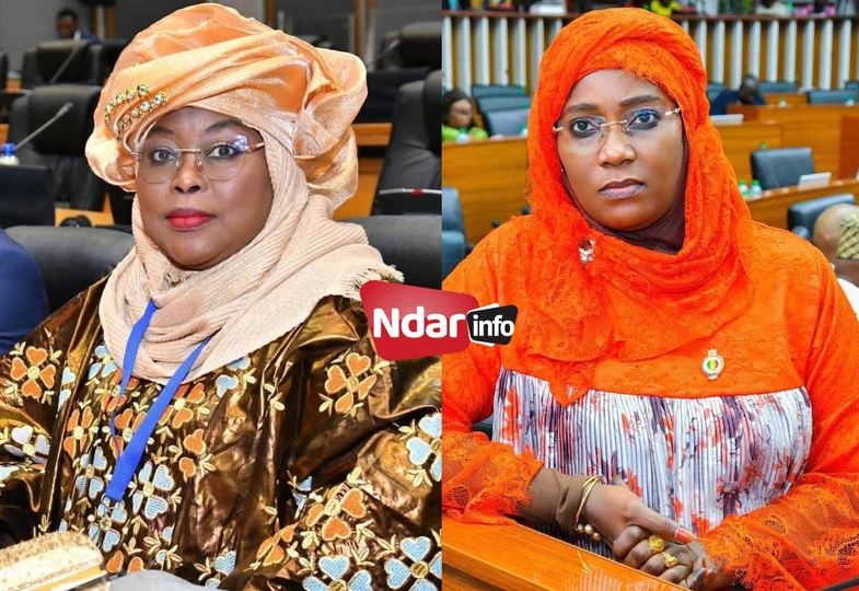 Assemblée nationale : plaidoyer pour un hôpital de dernière génération à Saint-Louis