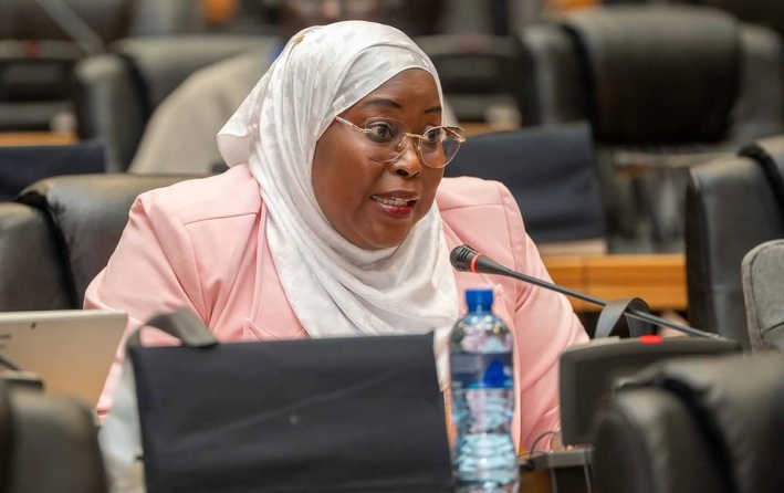 Hôpital de “niveau 5” : précision sur une formulation symbolique mais engagée