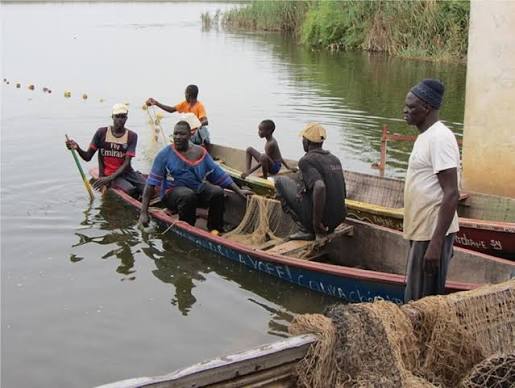 Richard-Toll : un plan pour sauver le tilapia du lac de Guiers