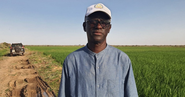 Bakel : la SAED prévoit d’emblaver 399 hectares pour la saison sèche chaude 2026