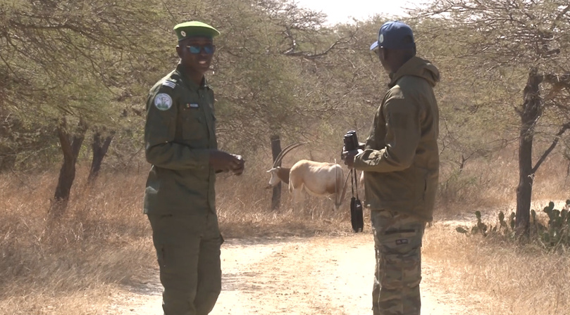 Protection espèces rares : la réserve de Gueumbeul au cœur de la stratégie nationale