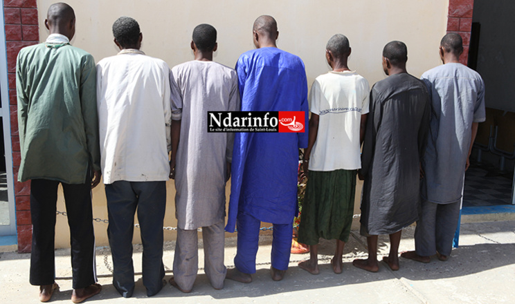 Saint-Louis : les braqueurs de la Scl et de la Saed arrêtés (images) Saint-Louis : les braqueurs de la Scl et de la Saed arrêtés (images)