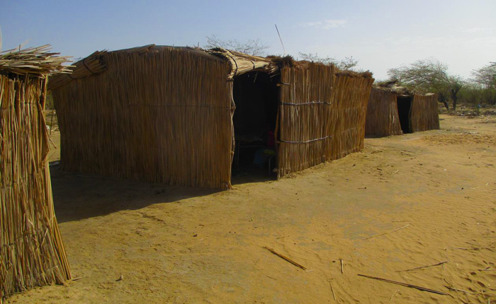 ( Images) L’incroyable délabrement de l'école élémentaire de Ndiawdoune Pont.