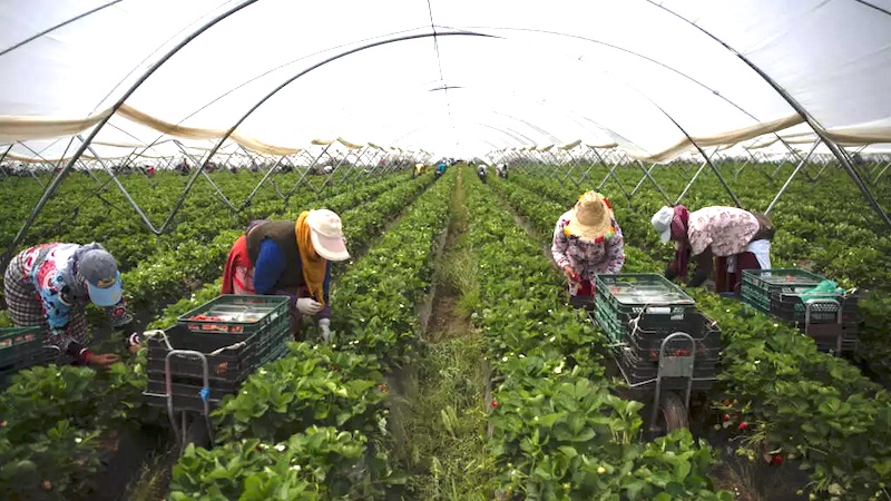 Espagne : Régularisation de 500 000 à 800 000 sans-papiers annoncée