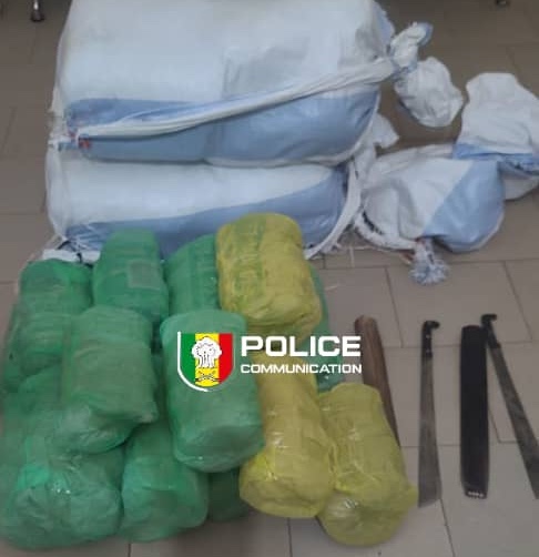 Fatick : 54 kg de chanvre indien saisis par la Brigade des Stupéfiants