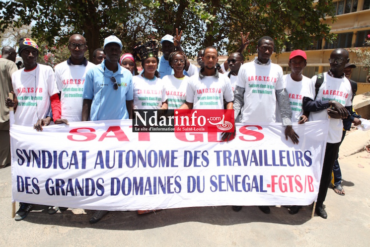 (Images) 1er MAI : le défilé des travailleurs sur la Place Faidherbe. (Images) 1er MAI : le défilé des travailleurs sur la Place Faidherbe.