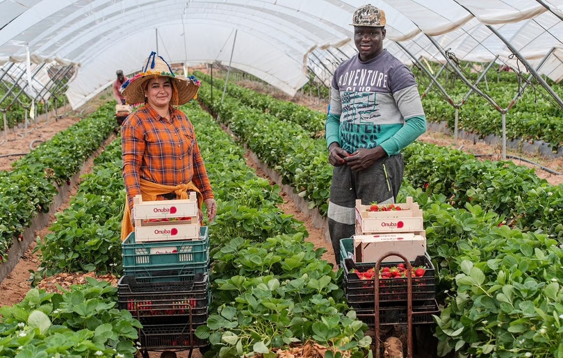 Régularisation massive en Espagne : 500 000 migrants concernés, une aubaine pour les Sénégalais