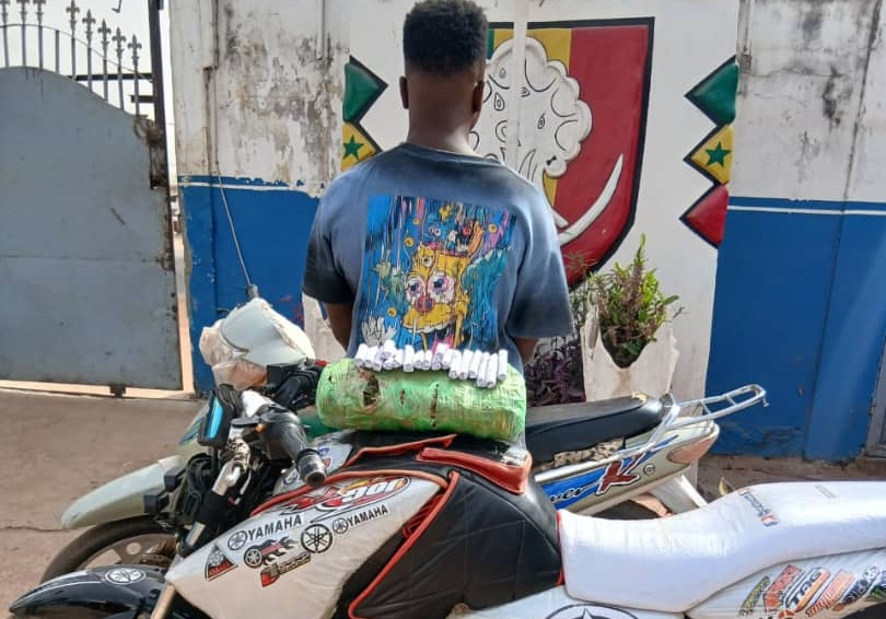 "Course-poursuite à Kolda" : Plus de 44 kg de chanvre indien saisis par la police en une journée