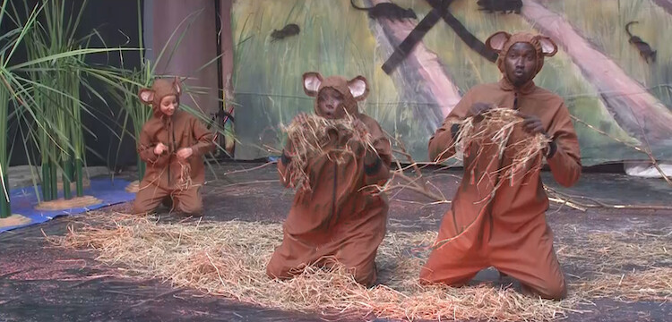 Saint-Louis : le théâtre sensibilise aux rongeurs nuisibles