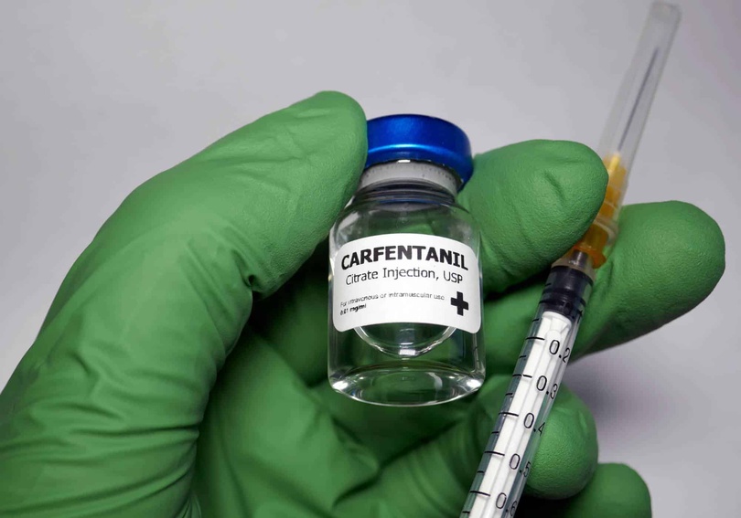 Alerte drogue au Sénégal : Le carfentanil, 100 fois plus fort que le fentanyl, saisi à Dakar