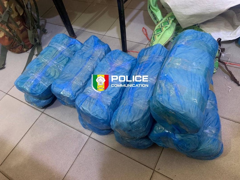 Fatick : 23 kg de chanvre indien saisis dans la forêt de Pakala