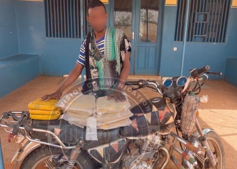 Ranérou : Saisie de 11 kg de chanvre indien dans la forêt de Namary