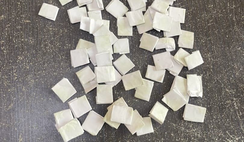 La Brigade de Recherches de Saly frappe fort : 61 képas de Kush saisis