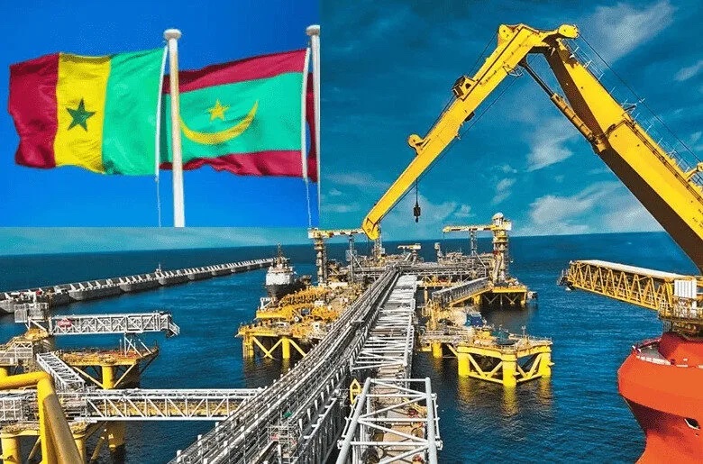 GTA : La production de Gaz s'élève à 4,27 millions m3 en février 2026