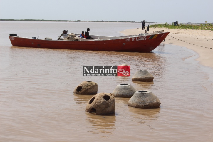Saint-Louis : Le CSE dote l’Aire Marine Protégée d’une nouvelle pirogue de surveillance